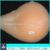 Free shipping!Quality approved silicone breast prosthesis,well ventilated and comfortable