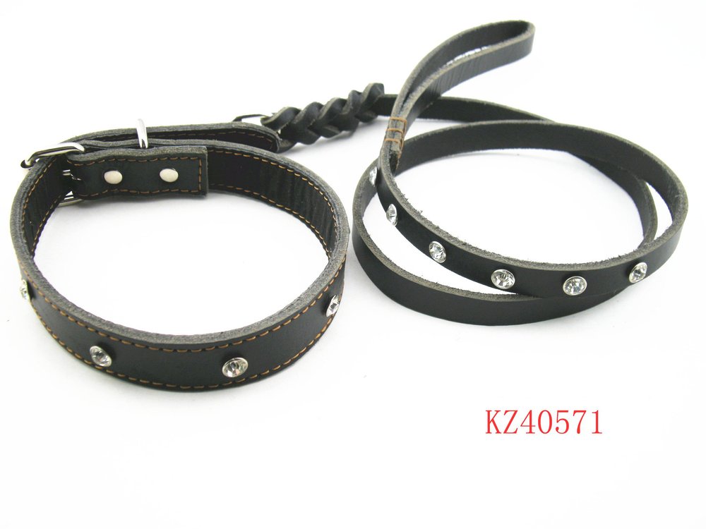 KZ40571-bling-bling-Leather-dog-collars-and-leashes-with-crystal-2012 ... KZ40571-bling-bling-Leather-dog-collars-and-leashes-with-crystal-2012 ...