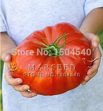 20 nutritious  Watermelon Beefsteak Tomato Seeds