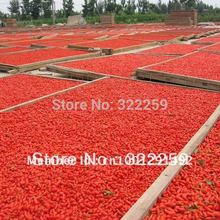  GREENFIELD 500g 2015 NEW CROP Chinese Ningxia Organic Goji Berry Wolfberry Chinese Medlar Dried Goji