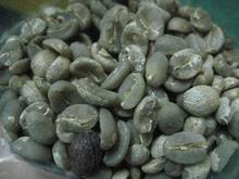 Coffee Yunnan Gaoligongshan mountain SHB green coffee bean WBC Blend Fruit