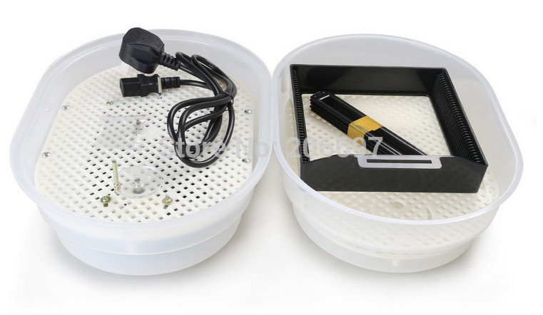 CE-approved-holding-9-chicken-eggs-mini-incubator-for-sale.jpg