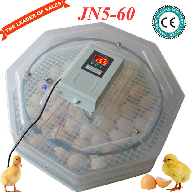 automatic family use mini egg incubator for sale capacity 60 chicken 
