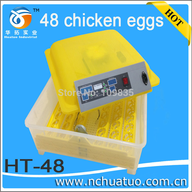 saving automatic efficient Chicken egg incubator hatching 48 eggs 