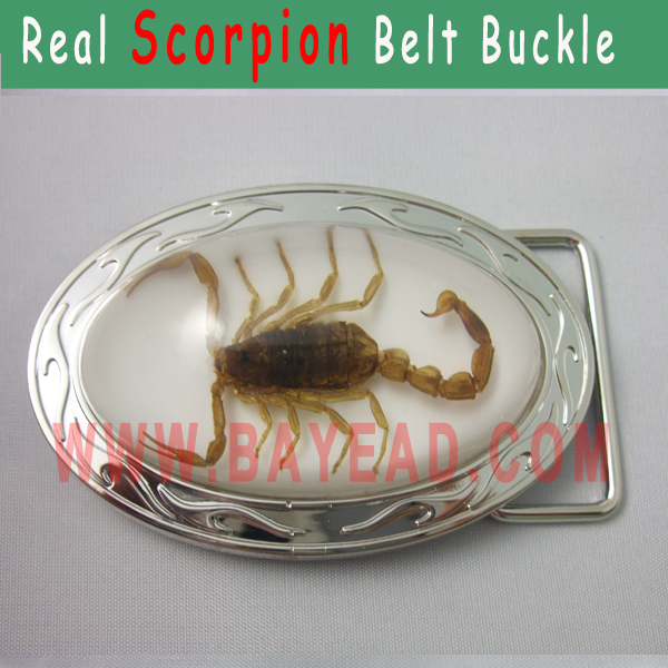 Real Brown Scorpion in Resin Belt Buckle Bug Belt Buckle Very Men Cool Gift Xmas Gift