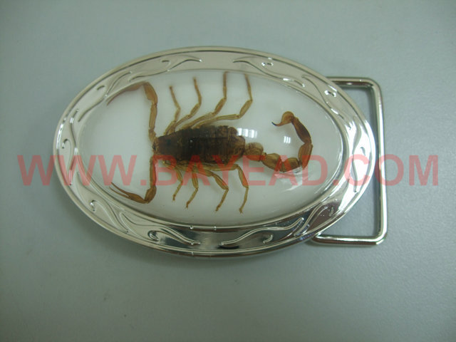 Real Brown Scorpion in Resin Belt Buckle Bug Belt Buckle Very Men Cool Gift Xmas Gift