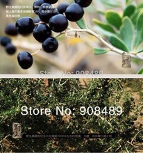 Free Shipping Wild black fruit goji berries 60g Medlar Chinese wolfberry Ninxia Himalaya Dried goji berry