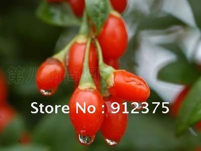 herb 51Ningxia Gouqizi medlar Dry Chinese wolfberry fruit berries fresh Heath Botanicals anti aging 200g