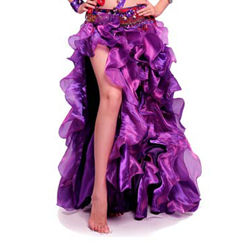 Wholesale 2014 The New High End Belly Dance Costumes Performing Exercises Dancewear Bottoms Skirt