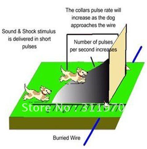 ELECTRIC DOG FENCES AMP; UNDERGROUND DOG FENCES - FREE SHIPPING