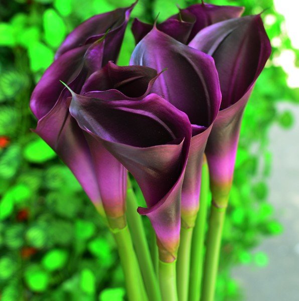 Aliexpress.com : Buy Artificial Real Touch Latex Flowers Dark ...
