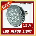 LED bulbs E27 12W PAR38 Spotlight lights 10pcs white 12*1W NO Dimmable led lamps spot light High Power Free Shipping wholesale