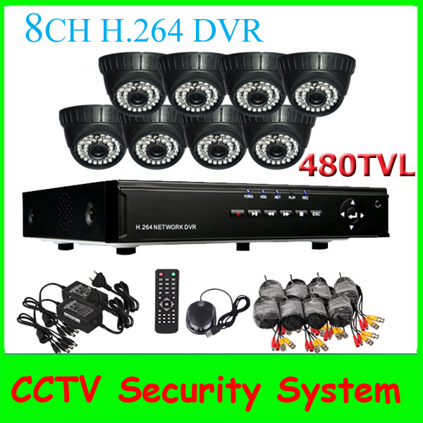 8ch H 264 Network DVR Recorder Support Smartphone Viewing and 8pcs 480TVL CMOS 36IR LEDs Dome